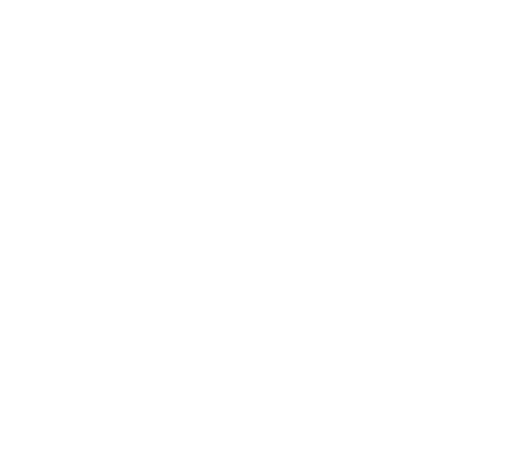 SecurePaws Identity Verification Platform 