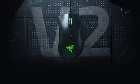 [RZ01-03210100-R3M1] Razer DeathAdder V2 - Wired Gaming Mouse - FRML Packaging