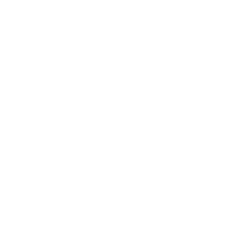 SecurePaws Identity Verification Platform 