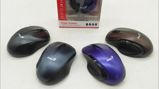 Genius Ergo 8200S Wireless Silent Mouse